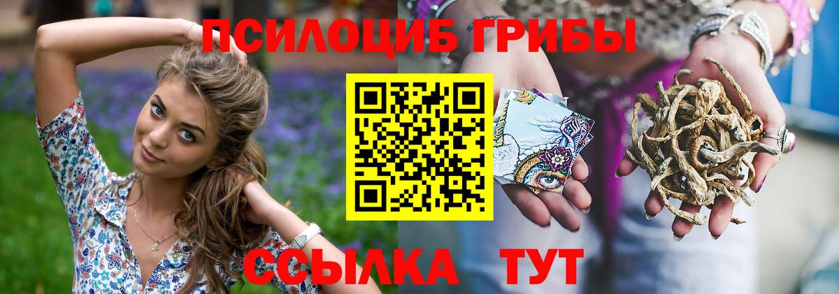 Галлюциногенные грибы Magic Shrooms Усолье-Сибирское