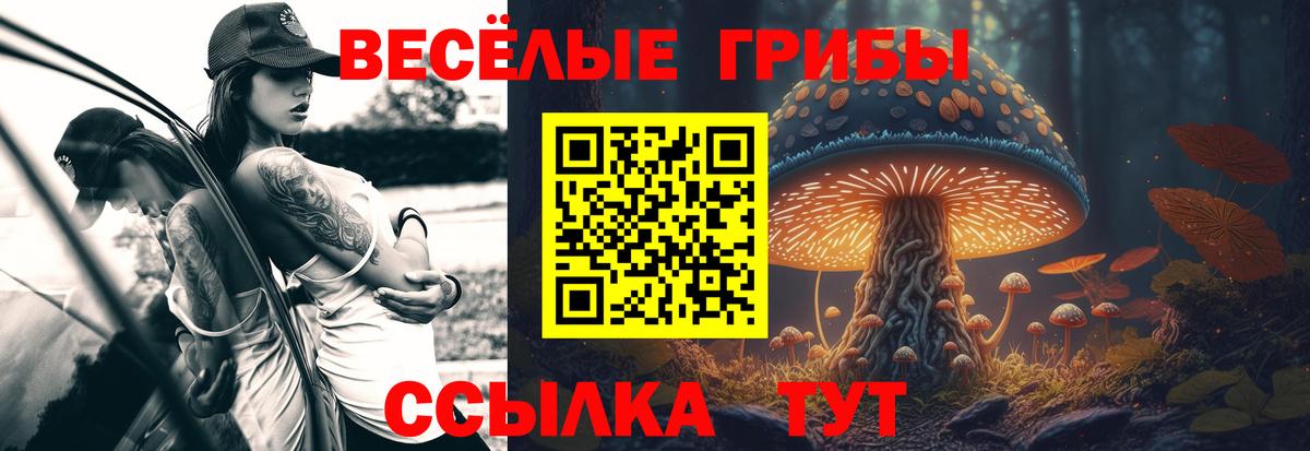Галлюциногенные грибы MAGIC MUSHROOMS  Галлюциногенные грибы GOLDEN TEACHER  Усолье-Сибирское  Вход с VPN 