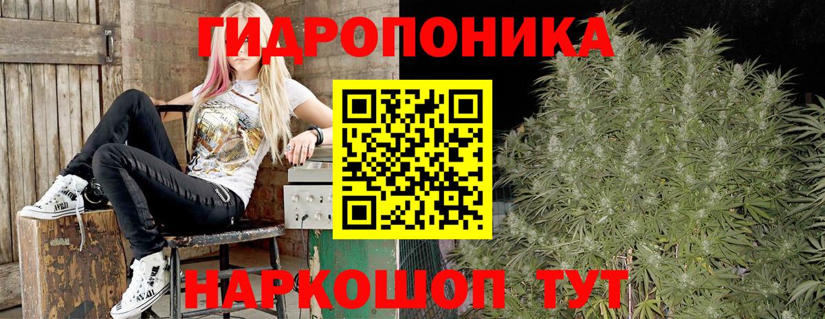 Бошки марихуана план Усолье-Сибирское